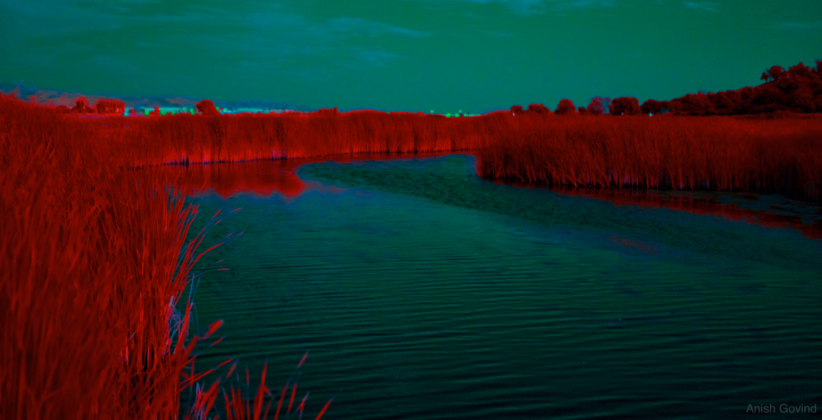 Crimson Dreams