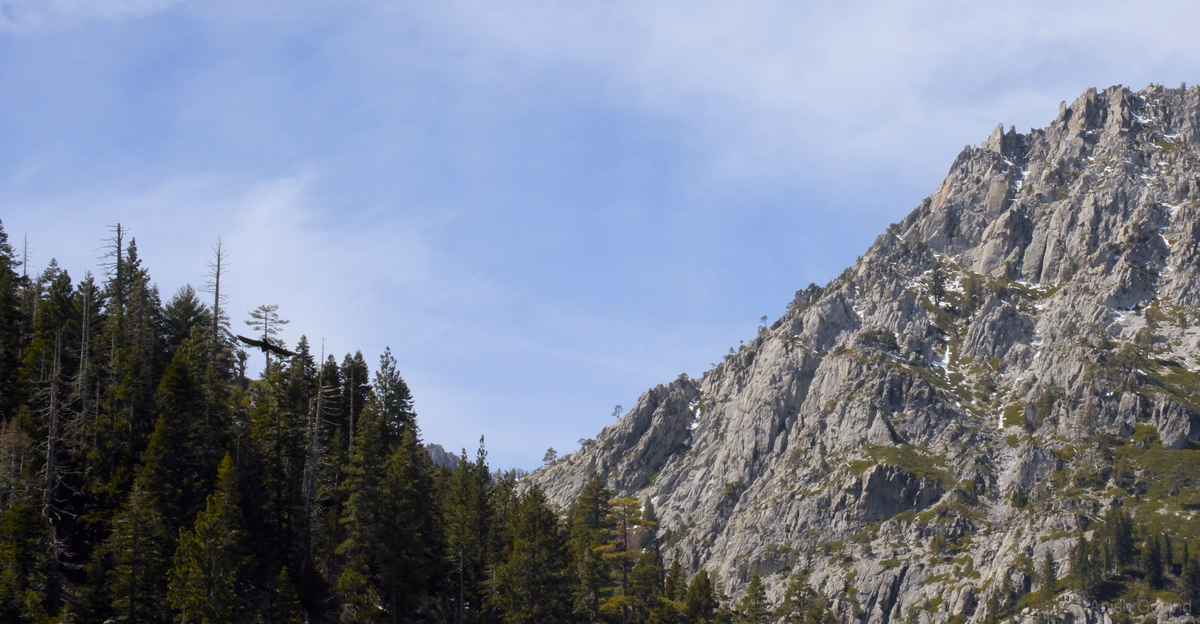 Whispers of Wilderness