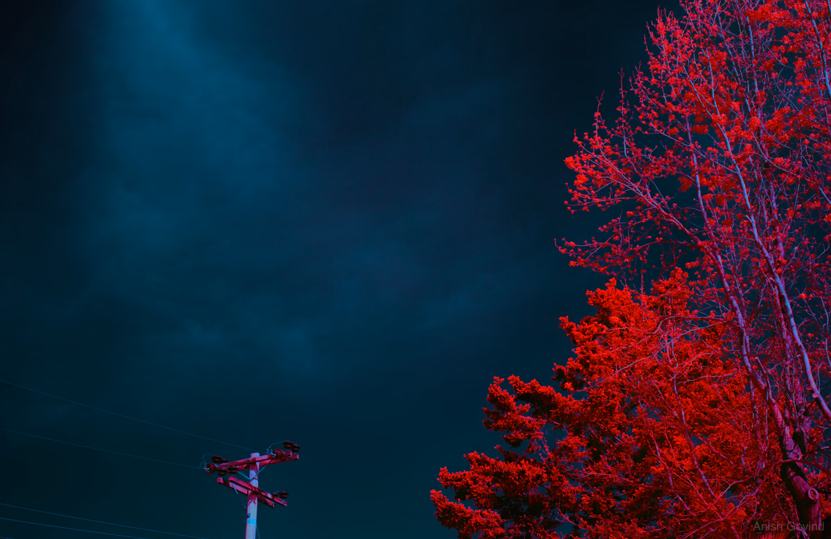 red_day