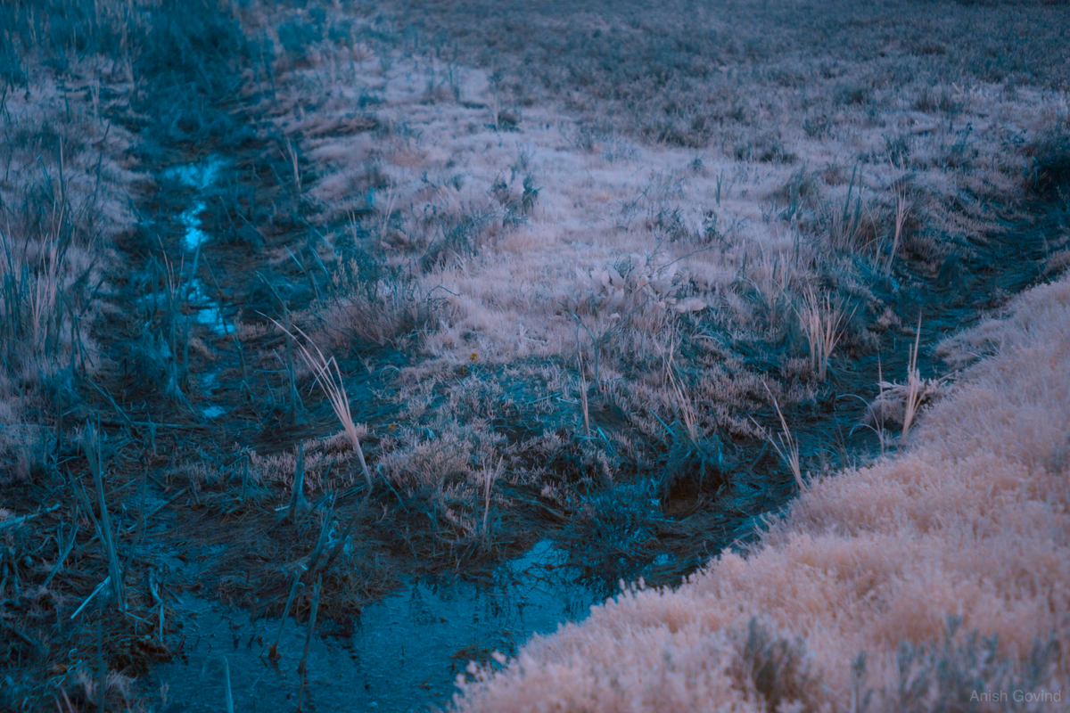 Whispers of Dawn